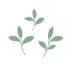 OTW Leaf (Transparent)